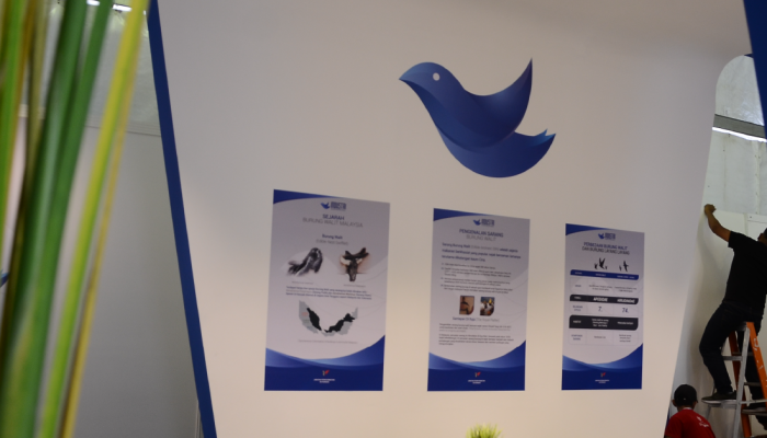 JPV webArtboard 1 copy 2