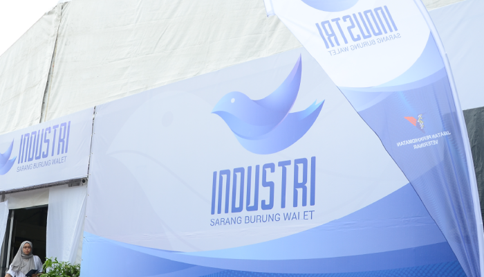 JPV webArtboard 1 copy 3