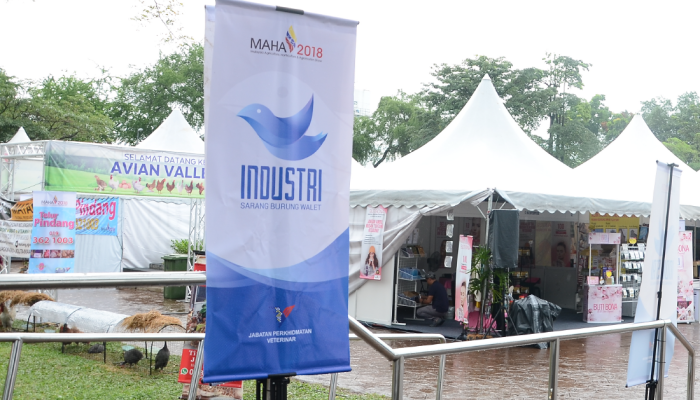 JPV webArtboard 1 copy